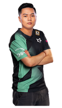 Hong Ting