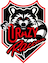 Crazy Raccoon