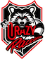 Crazy Raccoon